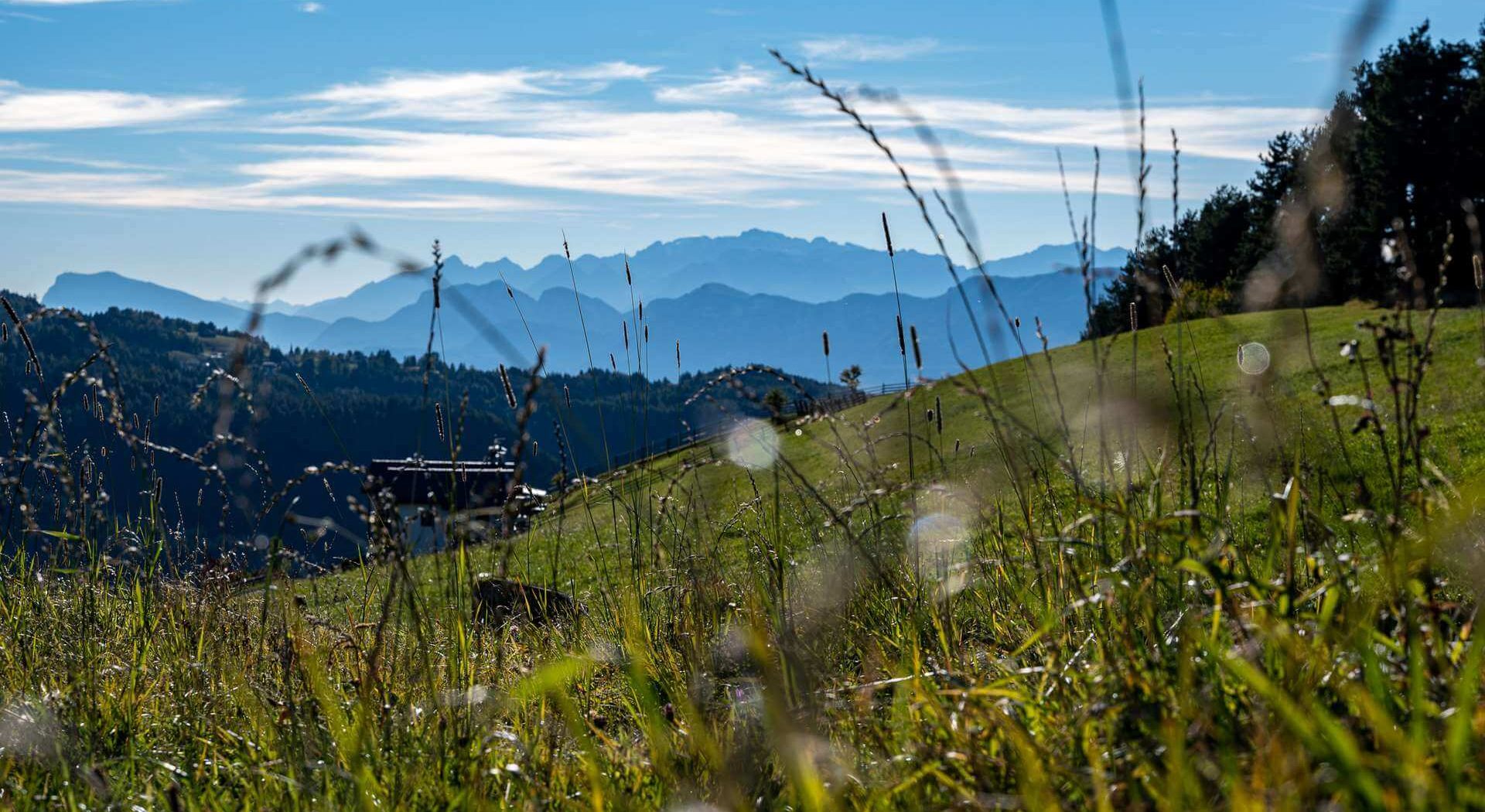 Sommerurlaub und Wanderurlaub Eggental - Südtirol